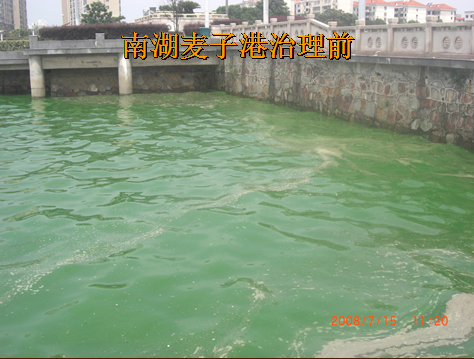 岳陽(yáng)南湖水域污染藍(lán)藻爆發(fā)治理項(xiàng)目